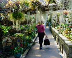 It also has greenhouses alongside numerous plants and trees.